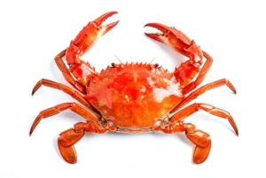 Crabe / Kg