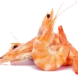 crevette-png