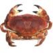 images (5)