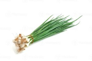 Feuille d'oignon / kg