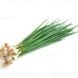 10739528-oignon-de-printemps-feuille-isole-sur-fond-blanc-motif-de-feuilles-vertes-photo
