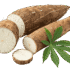 pngtree-fresh-cassava-roots---whole-and-sliced-with-leaf-png-image_15982408