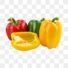 pngtree-sweet-pepper-agricultural-food-png-image_3351722
